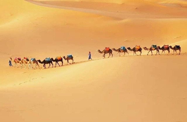 Merzouga Exotic Luxury Camp Is The Best Location