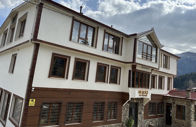 Meseici Otel