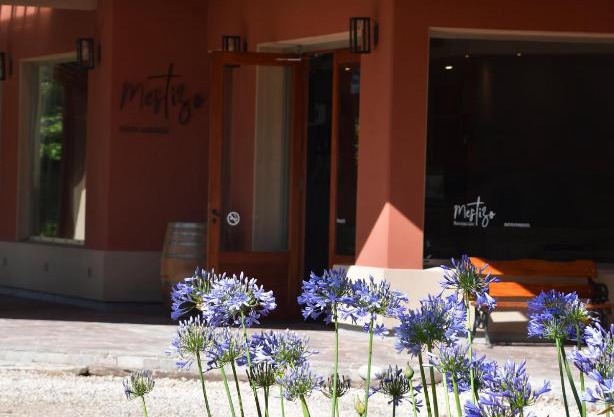 Mestizo Hotel