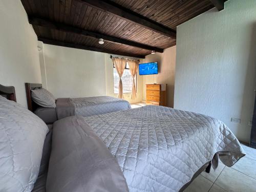 Mesura B&B