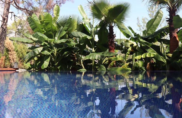 Meta Villa hotel