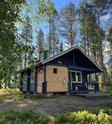 Metsä Kolo