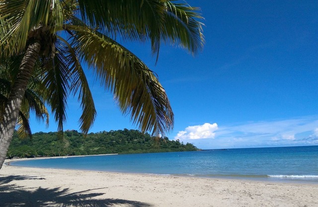 Amplios bungalows con aire acondicionado a 2 minutos de la playa.