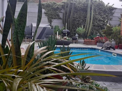 Mi Amor Accommodation