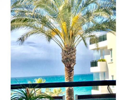 MI CAPRICHO BEACHFRONT- P301 Apartment with sea view