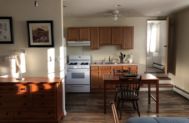 Mid century Modern Apartment