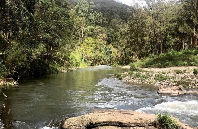 Mid North Coast Macleay Valley Mountain Views - Pet Friendly Cottage
