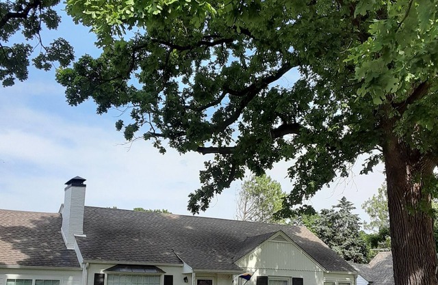 Midtown Maple Ridge Bungalow