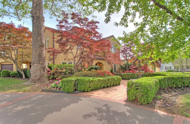 Midtown Mediterranean Oasis