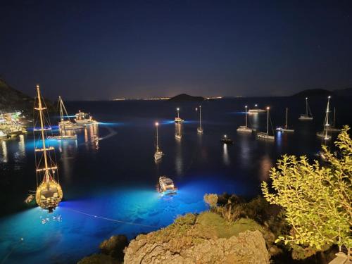 Mikaki Holiday Home