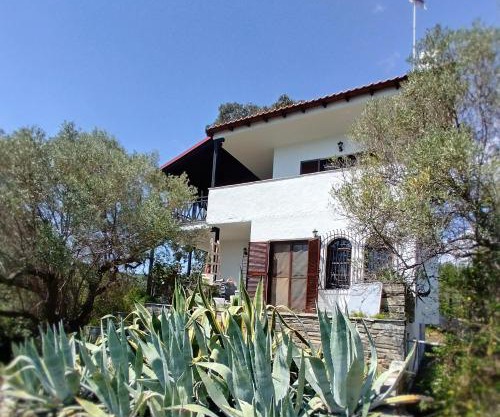 Mike's Seaside House