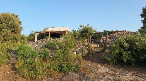 Miki's Little House
