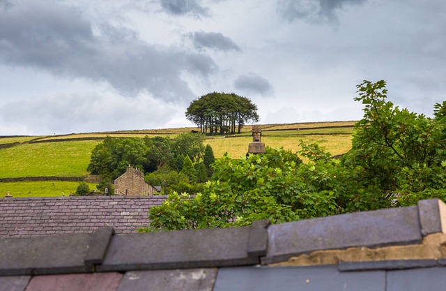 Millies Hayfield