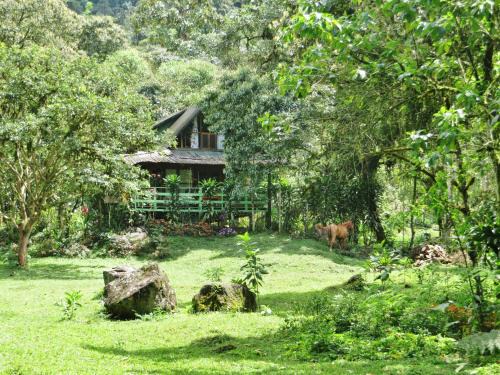 Mindo Eco Chalet con Rio y Cascada