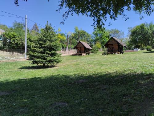 Mini-Camp SKELICA
