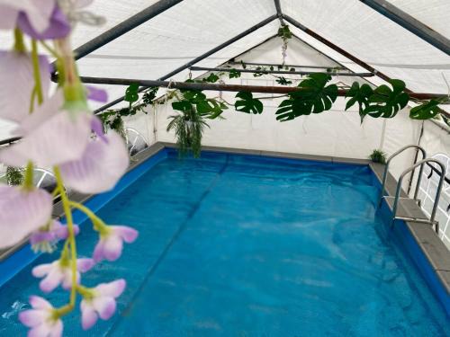 Mini Love Island style guest house includes personal warm 24 hour swimming pool, outdoor bathtub, BBQ and fire pit, all this is secretly located in the busy suburbs of Nottingham