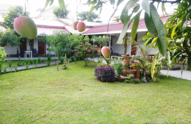 Minine Guesthouse