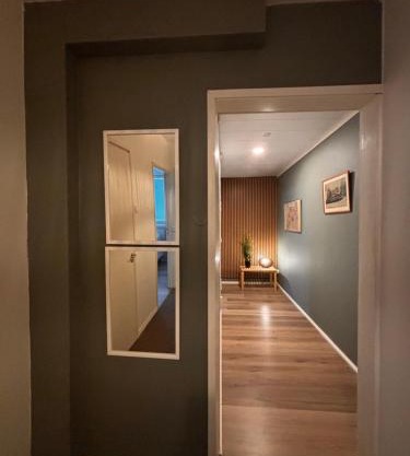 Minna Canthin katu Apartment