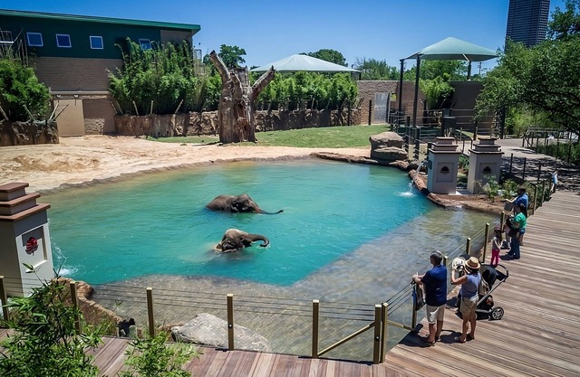 Minutes away from Houston Zoo! Pets Allowed! Wheelchair-accessible! Gym! BBQ!