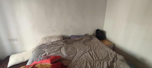 Mir guest house