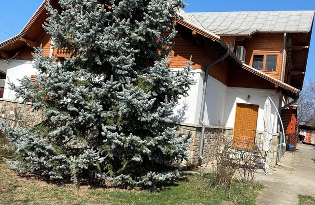 Casa Mirage Ploiesti