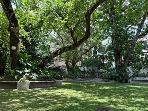 MiraNamin Nest BANABA Suite in Unique Historic Home - Garden View, Shared Kitchen, Rooftop, Pet Friendly with a Fee