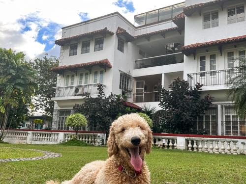 MiraNamin Nest KAMANTIGI Room in Unique Historic Home - Garden Access, Shared Kitchen, Pet Friendly with a Fee