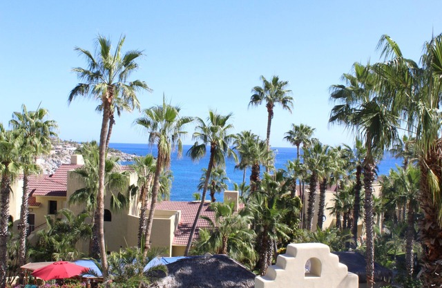 Misiones del Cabo 4206. 1BR Completely Remodeled Ocean View Condo!