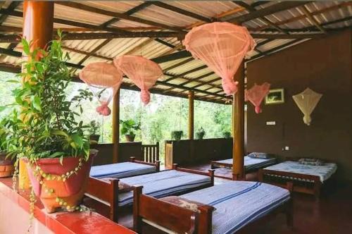 Mk yala safari and guest house