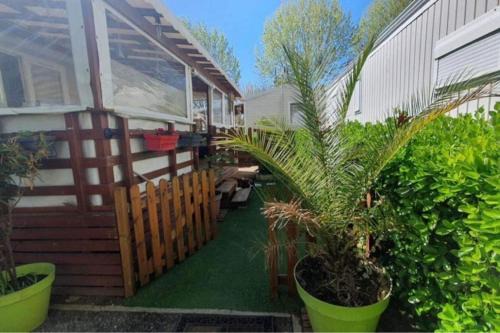 Mobil-Home MA 20 à Vias - La Carabasse - Camping Siblu avec piscine