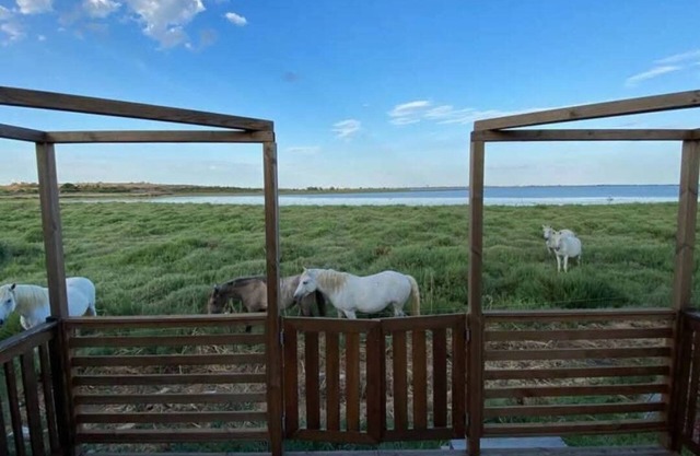 Mobile home sleeps 6
