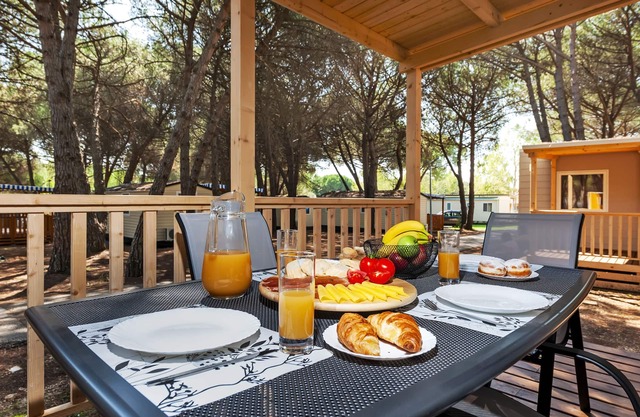Mobile Homes Adriatic Camping Bi Village