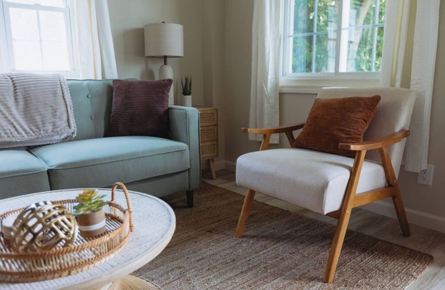 Modern Farmhouse Chic Apartment in Johnson City