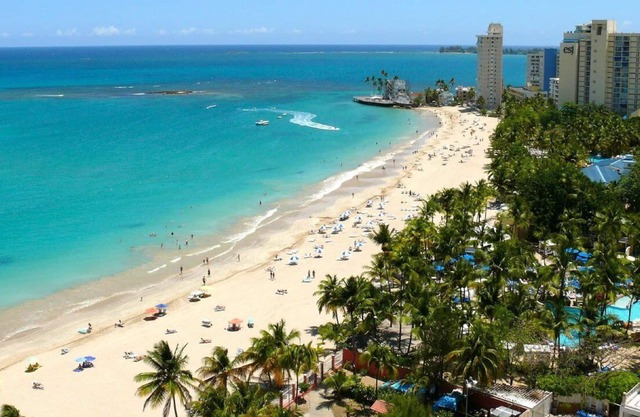 Modern 1 BR APT W/Sofa bed 15 min. to the Beach!