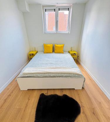 Modern 1BR & 1LR Apartment, 10 min Walk to City Center