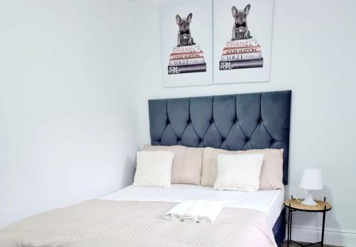 Modern 2 Bedroom Apartment