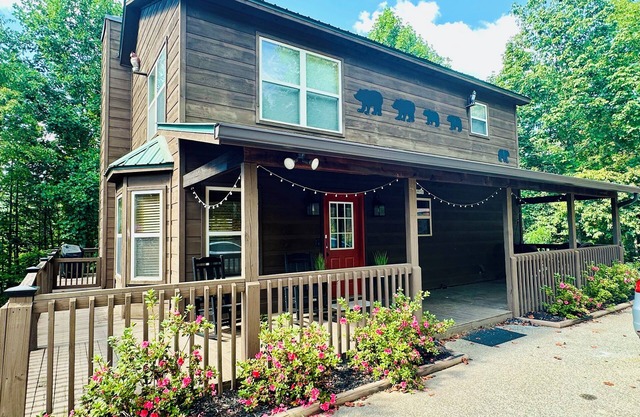 Modern 3 bed cabin - ping pong, fire pit, Mountain View - 4 miles to downtown
