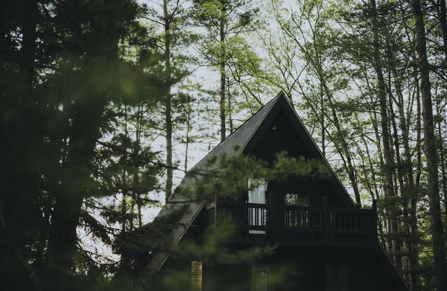 Modern A Frame cabin - on beautiful Fawn Lake!