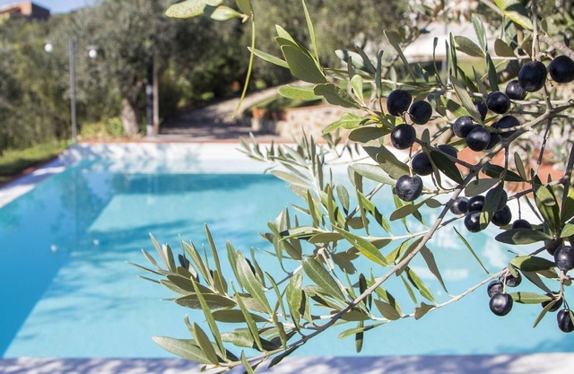 un apartamento moderno en Larciano con una piscina