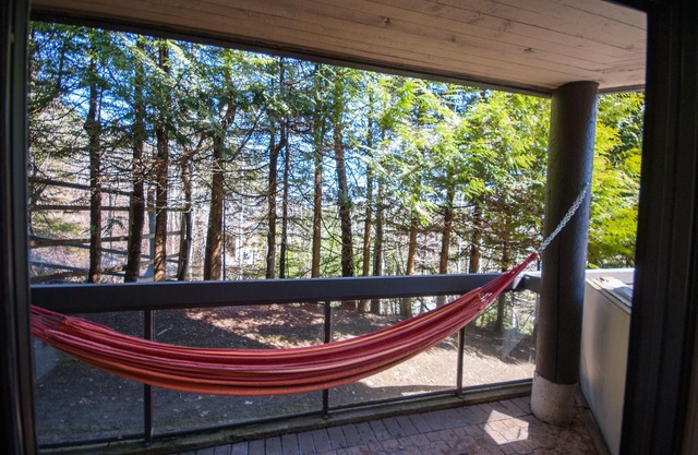 Ironwood 101 - Deluxe Blueberry Condo con jacuzzi privado y vistas a la montaña