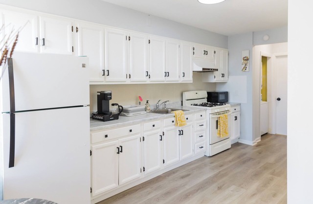 Modern Bohemian 3-Bedroom Apartment in Prime Mount Vernon Location