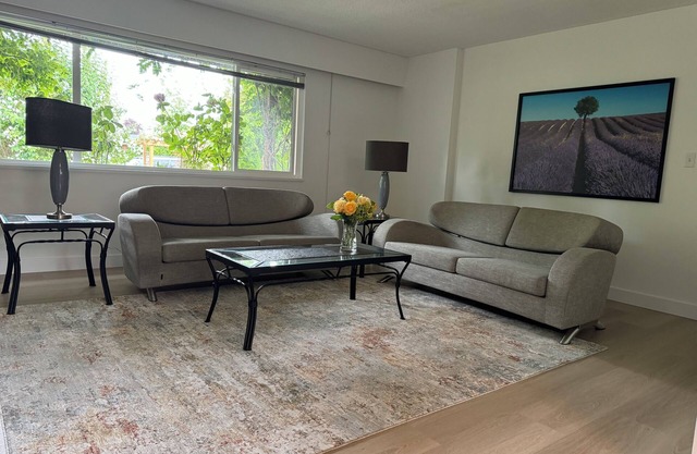 Modern Bright Suite 2 Bdrm/short /long stays/25 min YVR Airport 7 min Ferry n