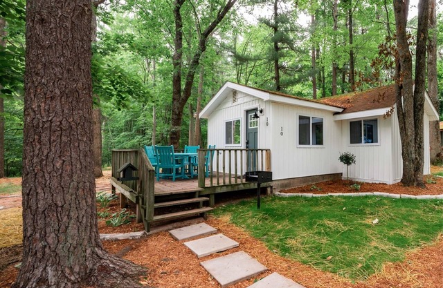 Modern Cabin on Arbutus Lake w/Pontoon Rentals