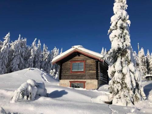 Modern cottage winter house