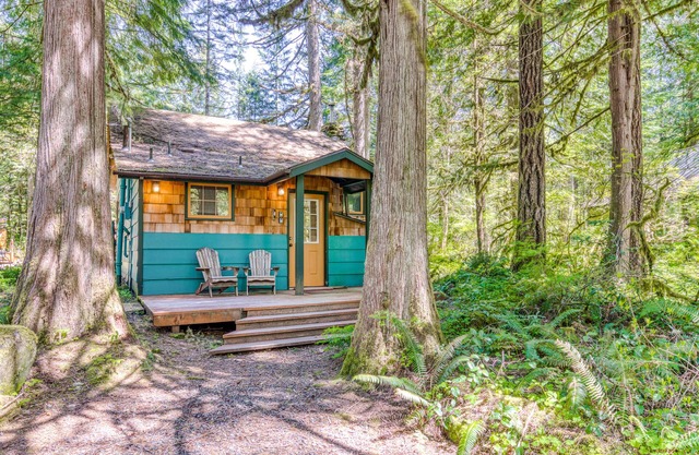 Modern, cozy, dog-friendly mountain retreat in central location
