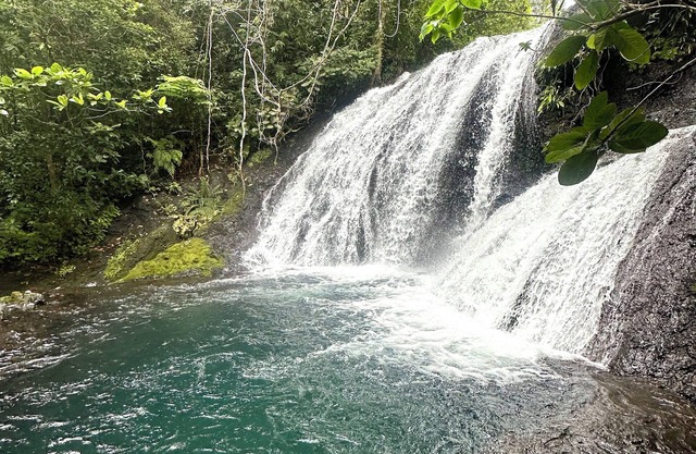 Modern Farmstay Tuvurara Savusavu. 9674533.