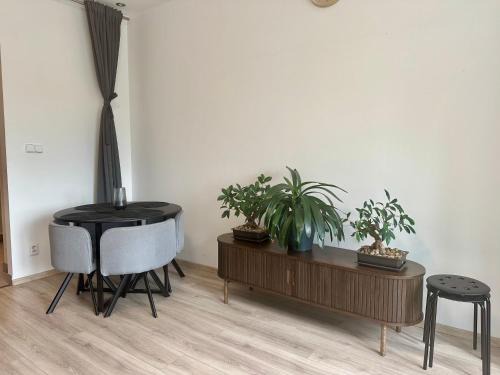 Modern flat in Central Prague