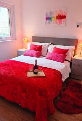 Modern Flat near Central London!