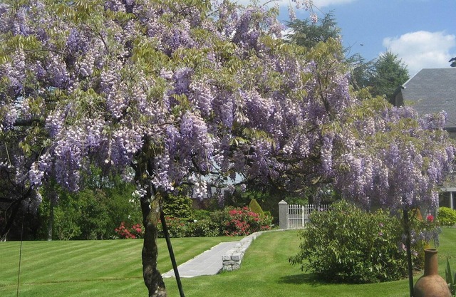 Moderna Casa de vacaciones en Marche-en-Famenne con vistas al jardín