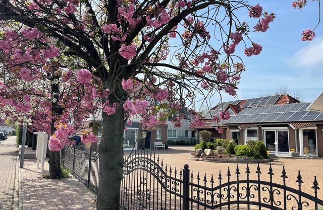 Modern House Gehrden contactless garden